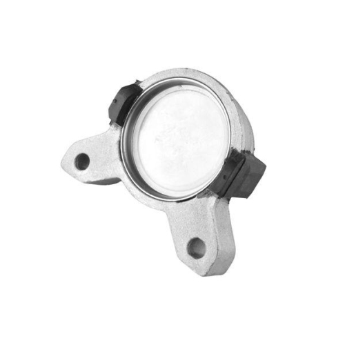 TEDGUM Lagerung, Motor