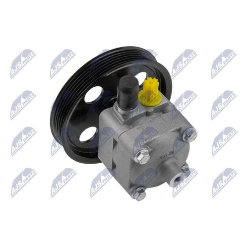 NTY Hydraulikpumpe, Lenkung SPW-VV-004
