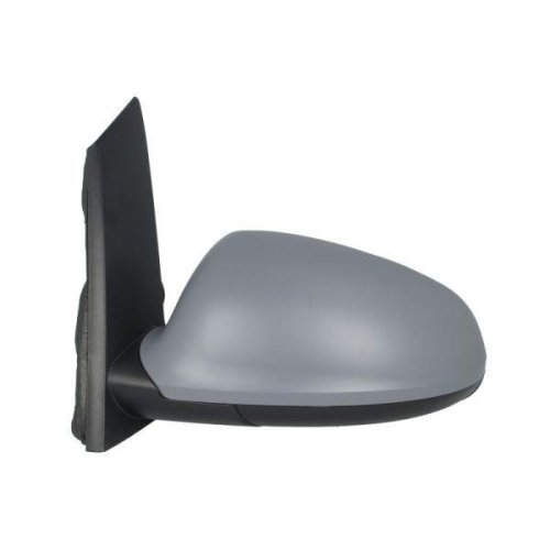 BLIC Au&szlig;enspiegel 5402-04-1121595P