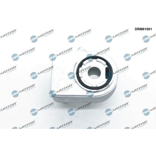 Dr.Motor Automotive &Ouml;lk&uuml;hler, Motor&ouml;l