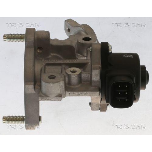 TRISCAN AGR-Ventil 8813 13067