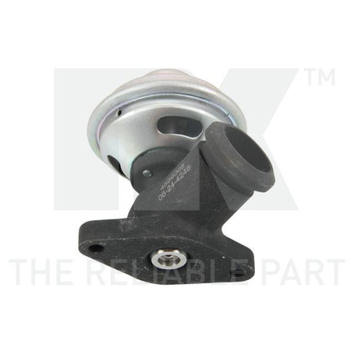 NK AGR-Ventil 4599008