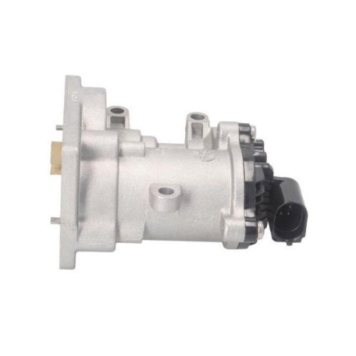 ENGITECH AGR-Ventil ENT500121