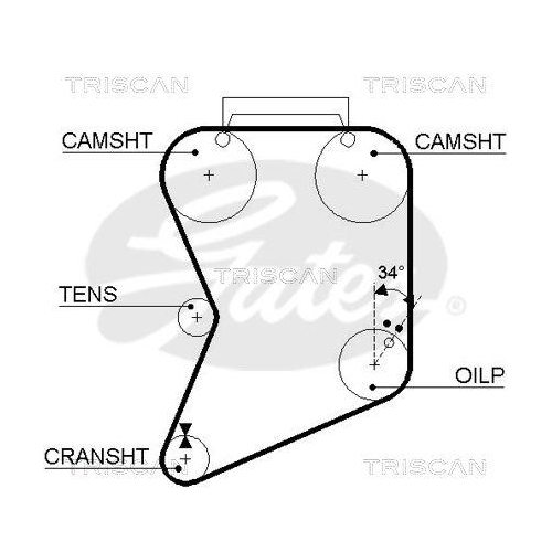 TRISCAN Zahnriemen