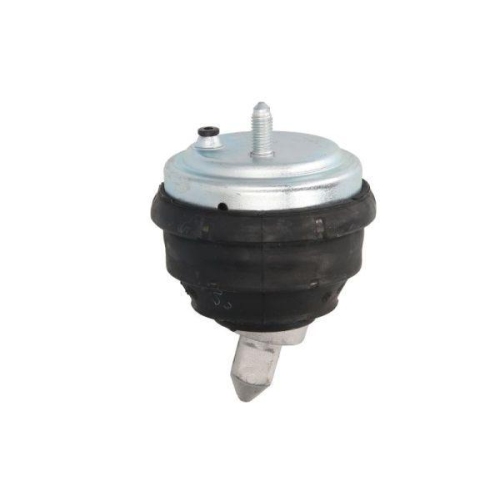REINHOCH Lagerung, Motor RH11-3017