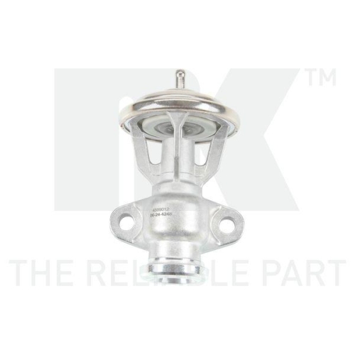 NK AGR-Ventil 4599012