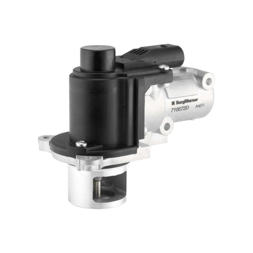 BorgWarner AGR-Ventil 710572D
