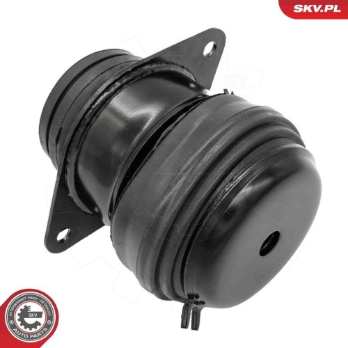 ESEN SKV Lagerung, Motor