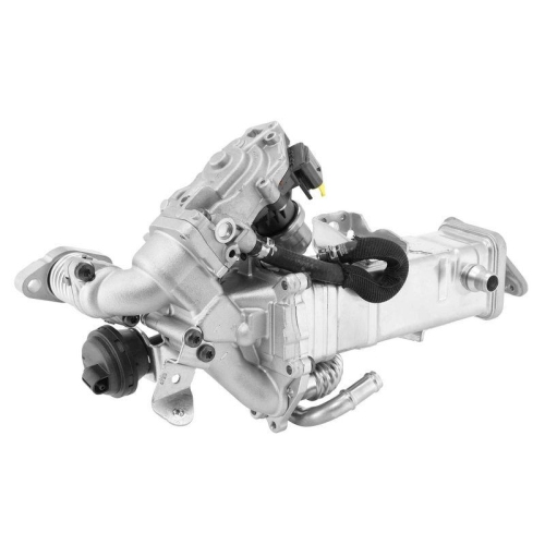 BorgWarner AGR-Modul OE-Version/Erstausr&uuml;stung 792005D0