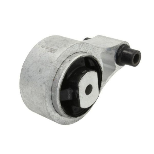 REINHOCH Lagerung, Motor RH11-2038