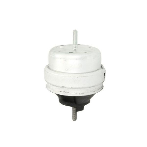 REINHOCH Lagerung, Motor RH11-0124
