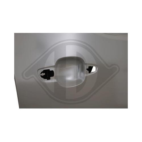 DIEDERICHS Tür, Karosserie 4014820