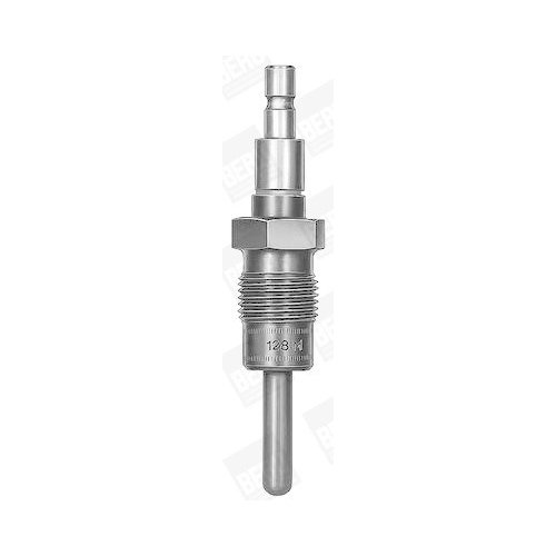 BorgWarner (BERU) Gl&uuml;hkerze GV128