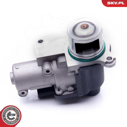 ESEN SKV AGR-Ventil 14SKV170
