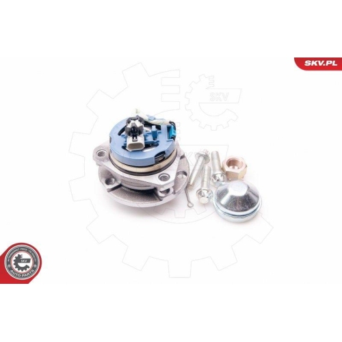 ESEN SKV Radlagersatz