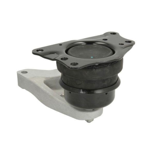 REINHOCH Lagerung, Motor RH11-0123
