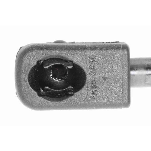 VAICO Gasfeder, Koffer-/Laderaum Original VAICO Qualit&auml;t V25-0555