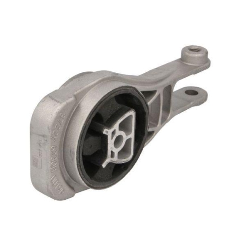REINHOCH Lagerung, Motor RH11-5107