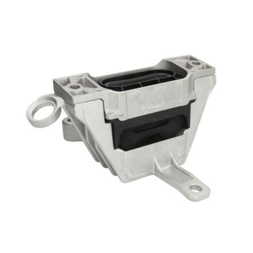 REINHOCH Lagerung, Motor RH11-5059