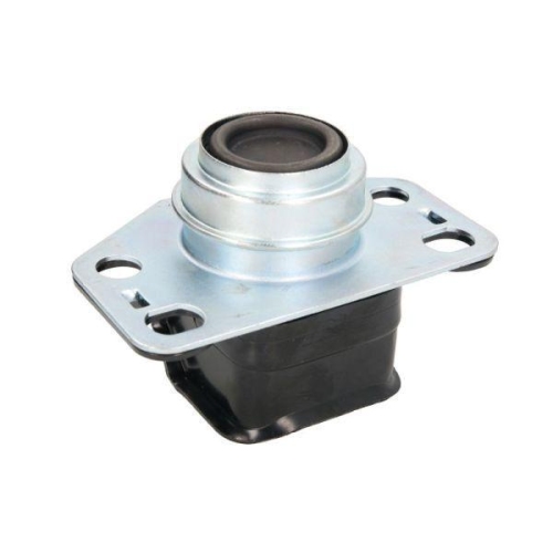 REINHOCH Lagerung, Motor RH11-2131