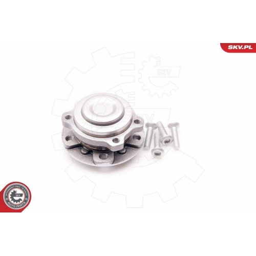 ESEN SKV Radlagersatz