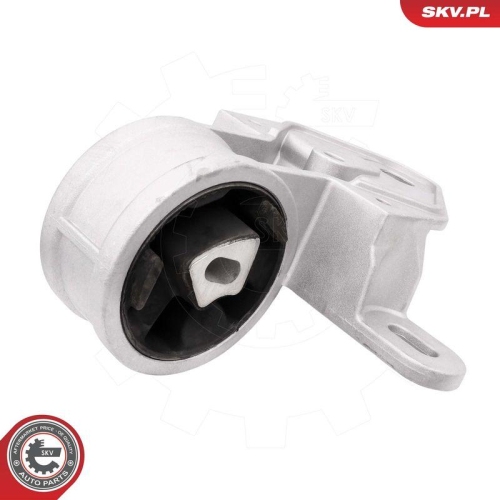 ESEN SKV Lagerung, Motor 75SKV020