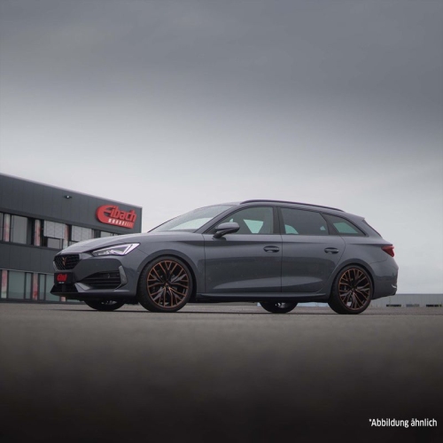 EIBACH Fahrwerkssatz, Federn Sportline E20-81-018-01-22