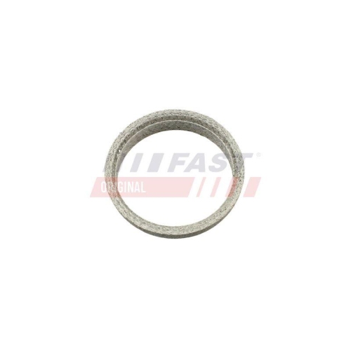 FAST Dichtring, Abgasrohr FT84823