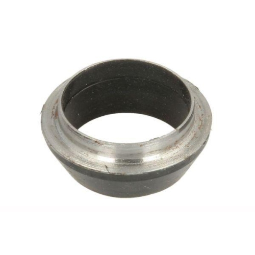 ENGITECH Dichtring, Einspritzventil ENT250417