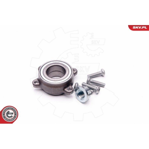 ESEN SKV Radlagersatz