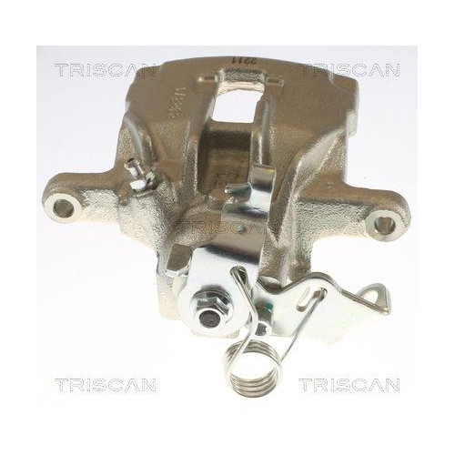 TRISCAN Bremssattel 8175 29212