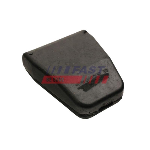 FAST Lagerung, Blattfeder FT18250