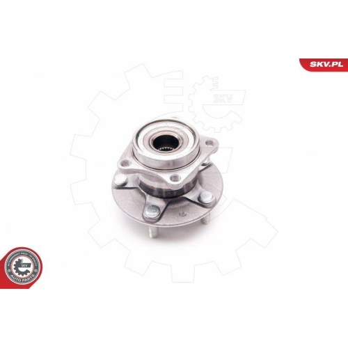 ESEN SKV Radlagersatz