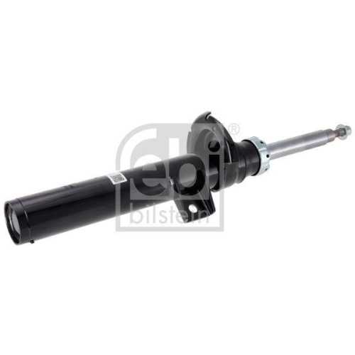 FEBI BILSTEIN Sto&szlig;d&auml;mpfer 1002855