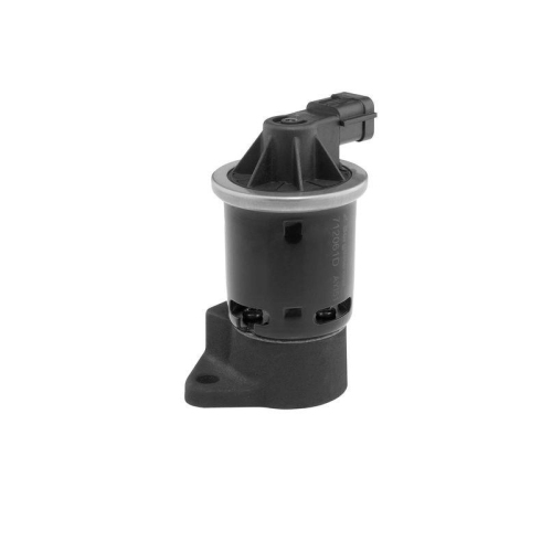 BorgWarner AGR-Ventil 712061D