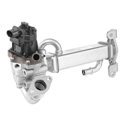 BorgWarner AGR-Modul OE-Version/Erstausr&uuml;stung 749005D0