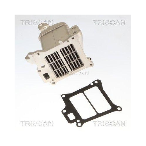 TRISCAN K&uuml;hler, Abgasr&uuml;ckf&uuml;hrung 8813 27010