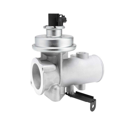 BorgWarner AGR-Ventil 712080D