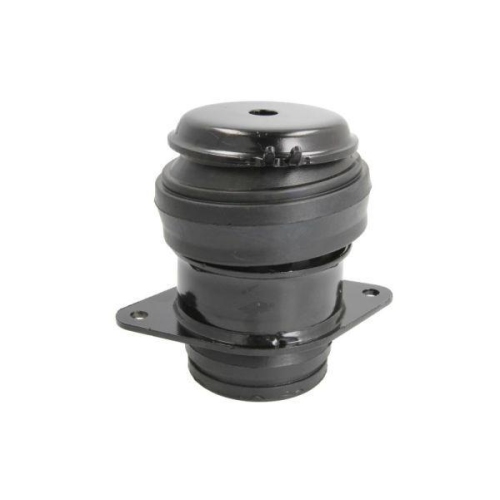 REINHOCH Lagerung, Motor RH11-0012