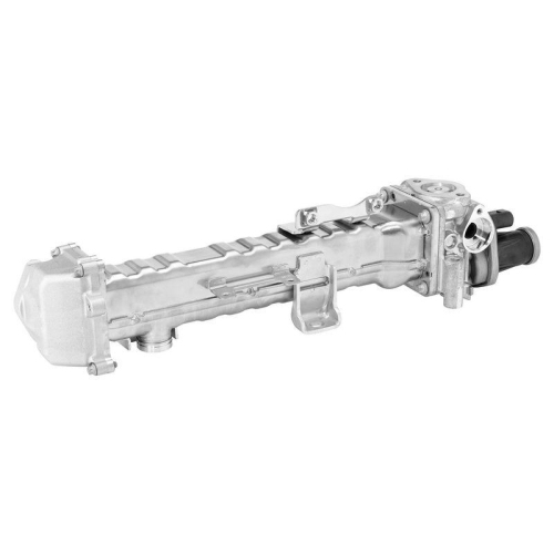 BorgWarner AGR-Modul OE-Version/Erstausr&uuml;stung 749009D0