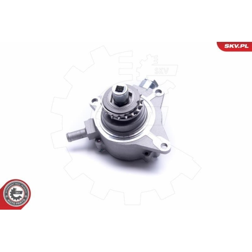 ESEN SKV Unterdruckpumpe, Bremsanlage