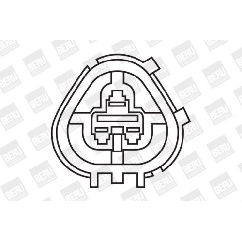 BorgWarner (BERU) Z&uuml;ndspule ZS266