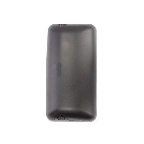 PACOL Au&szlig;enspiegel DAF-MR-022