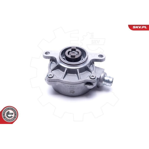 ESEN SKV Unterdruckpumpe, Bremsanlage