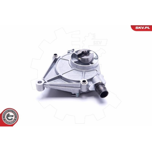 ESEN SKV Unterdruckpumpe, Bremsanlage