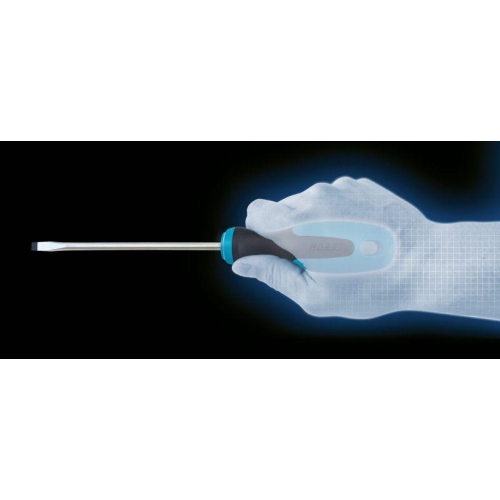 HAZET Schraubendreher Satz Schlitz Pozidriv 6-tlg. 0,5x3-1,2x6,5 PZ1-PZ2 810/6PZ