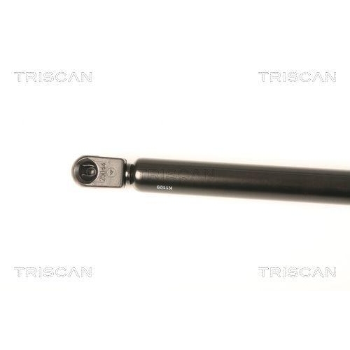 TRISCAN Gasfeder, Koffer-/Laderaum 8710 29287