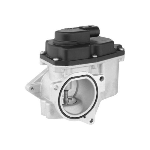 BorgWarner AGR-Ventil 711080D
