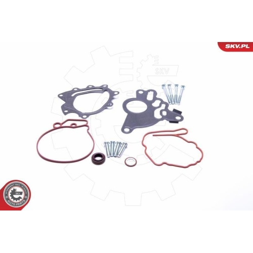 ESEN SKV Reparatursatz, Unterdruckpumpe (Bremsanlage)