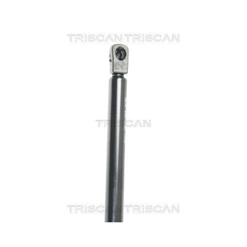 TRISCAN Gasfeder, Koffer-/Laderaum 8710 25238